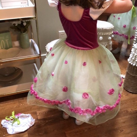 Girls 4T costume / party / fancy dress. - Picture 4 of 6